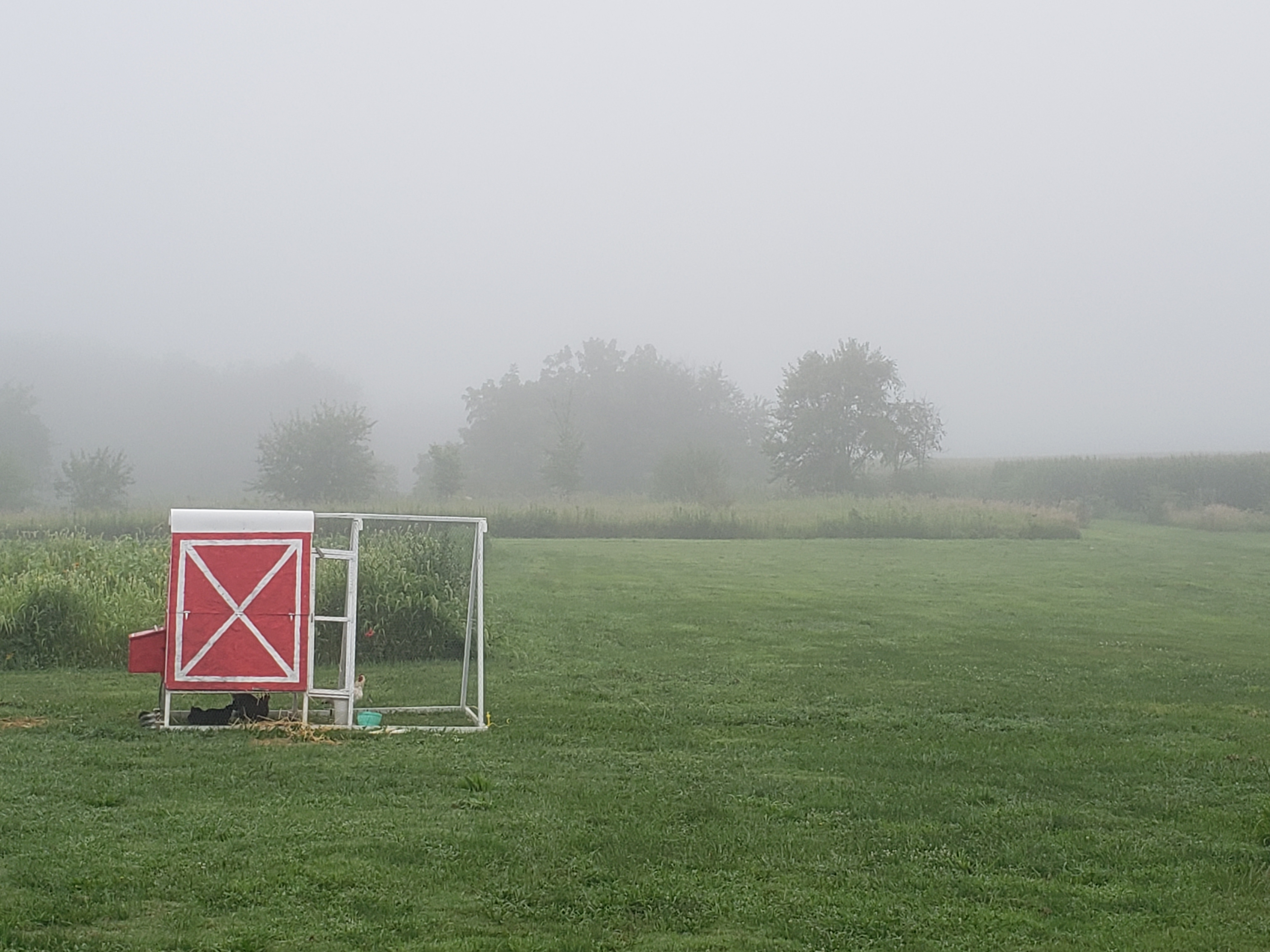 our tractor in its prime, standing proudly in the mist