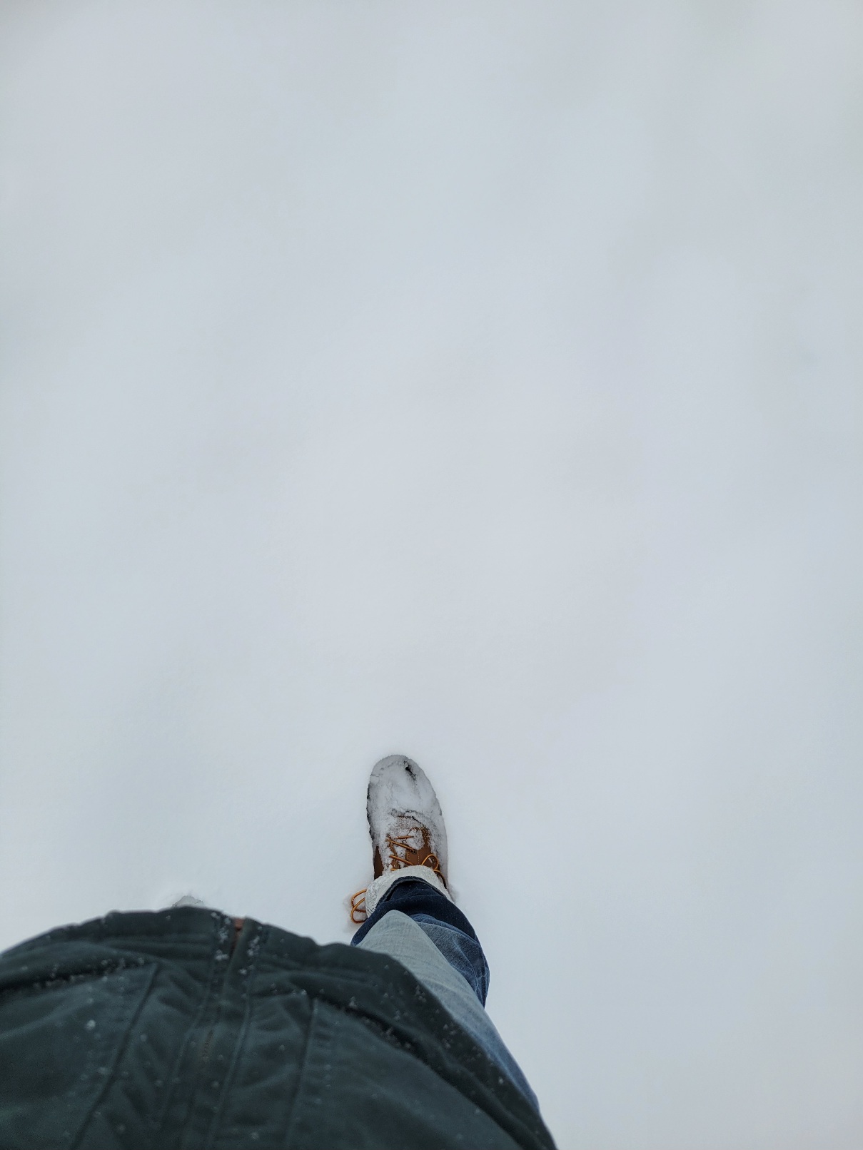A top-down perspective of a person's boot sunk deep into snow, leaving a sharp outline a few inches above the top of the boot; the snow is otherwise completely undisturbed. The person's green jacket is visible on the lowest edge of the photo
