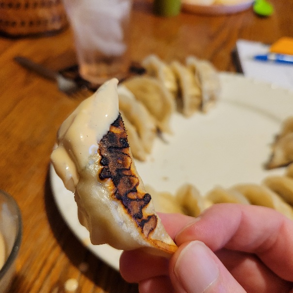 a potsticker glazed in light brown sauce