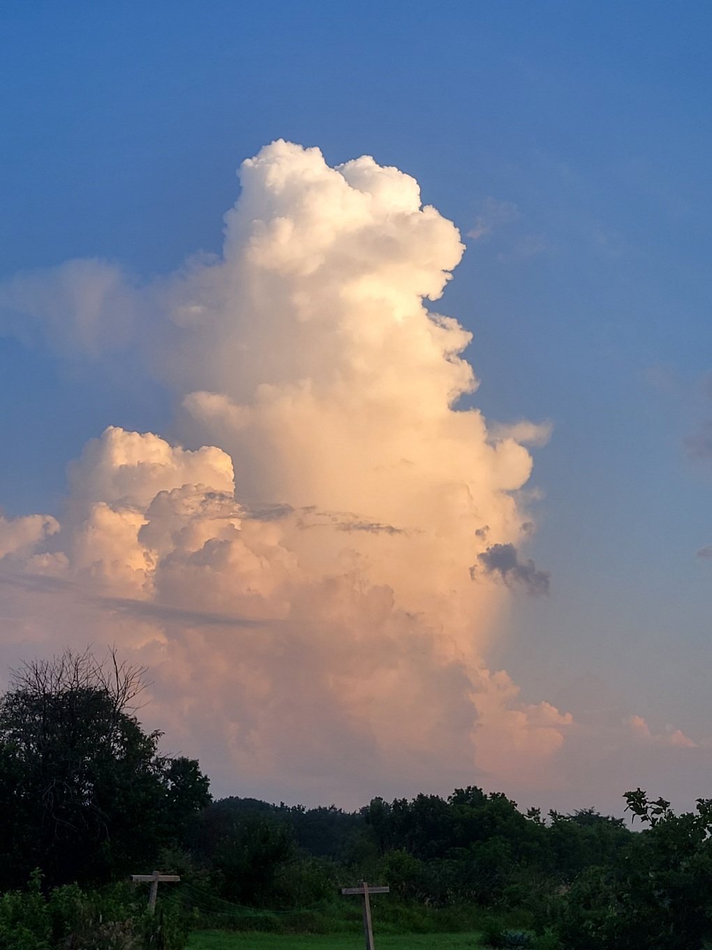 A massive cloud akin to renaissance paintings, softly illuminated by the rising sun to gentle yellows and oranges